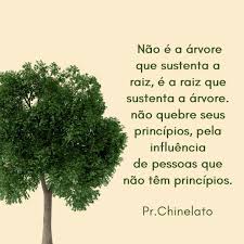 Tassi Araujo (@TassianeAraujo)  X