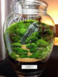 Florarium Beautiful Terrariums Succulent Terrarium Terrarium