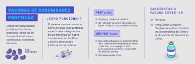 Qué sabemos de la vacuna cansino de china? Cuales Son Y Como Funcionan Los Tipos De Vacunas Para El Covid 19 Colombiacheck