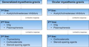Mg presents with painless, fluctuating, fatigable weakness involving specific muscle groups. Juvenile And Neonatal Myasthenia Gravis Sciencedirect