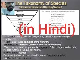 Species And Taxonomy Concept In Hindi Youtube