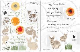bunny gerber daisy multi step clear