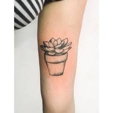 We would like to show you a description here but the site won't allow us. Potted Succulent Dot Work Style Tattoo On The Arm Succulent Tattoo Succulent Tattoo Sleeve Pattern Tattoo