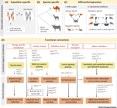 1 evolution by natural selection 1 i. Life In Deserts The Genetic Basis Of Mammalian Desert Adaptation Trends In Ecology Evolution