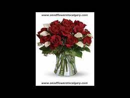 Send flowers to canada from usa. How To Send Flowers To Canada From Usa
