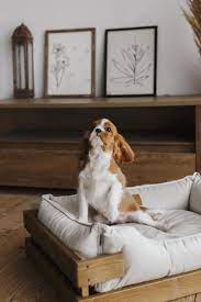 dog bed wooden frame nature vanilla velvet wood frame bed for dog small dog bed medium dog bed large dog bed extra dog bed dog bed large wicker dog bed