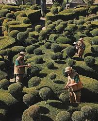 Moro Dabron On Instagram Julien De Cerval S Topiary At Les Jardins De Marqueyssac France C O Olivjb Marq In 2020 France Photos Aesthetic Photography Instagram