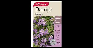 Image result for Bacopa floribunda
