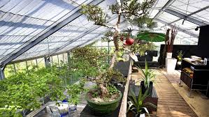 Wohnen Im Gewachshaus Leben In Der Natur Wohnen Im Gewachshaus Stil Faz Glashaus Gewachshaus Earthship