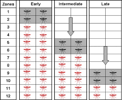Make sure that you hire a competent expert for your gainesville exterminator of wildlife. Historical Applications Of Induced Sterilisation In Field Populations Of Mosquitoes Malaria Journal Full Text