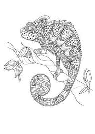 This site provides total 1 english word for chamäleon. Chamaleon Malvorlagen Coloring And Malvorlagan