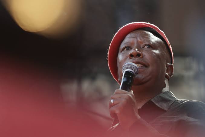 South Africa: Gun ruling bruises Julius Malema just as his EFF moves closer  to the ANC