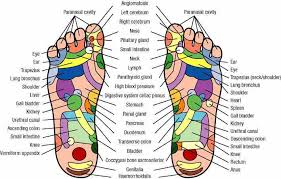 Reflexology Foot Charts Alternative Medicine Healing