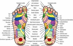 reflexology foot charts alternative medicine healing