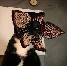 Demon Cat Gorgon Pet Costumes Dog Costume Cat Cosplay