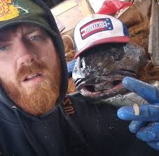 Would you climb down into the pit of crabs 🦀🦀? #DeadliestCatch