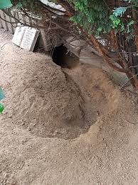 Kaninchenbau Kaninchenbau Kaninchen Bau