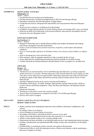 Background checks this position serves as a public agent and required to perform duties in a safe, reliable and highly ethical manner. Steward Resume Samples Velvet Jobs