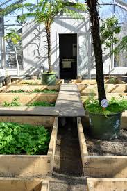 The problem with laying carpet on the bottom of your bed is that it now that you know how to prepare and what to put in the bottom of your raised garden bed, you are well on your way to a new spectacular garden. Raised Bed Gardening In My Vegetable Greenhouse The Martha Stewart Blog