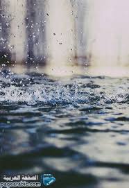 تفسير حلم المطر dream rain watch love rain rain photography nature
