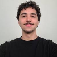 100+ perfis com “Levin”