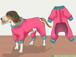 To make a diaper from the. 7 Diy Dog Diaper Ideas Homemade Puppy Diapers For Messes