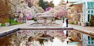 Check spelling or type a new query. Brooklyn Botanic Garden New York Weddings