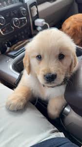 If anyone sees copper please let us know 😞