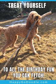 20 Happy Birthday Dog Memes That Will Make Your Barkday Even Brighter Dog Memes Happy Birthday Dog Happy Birthday Dog Meme