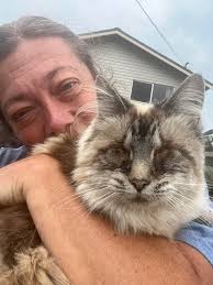 Lost blind cat found in Broadview neighborhood