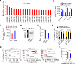 Most invasive breast cancers are found in women over age 55 years. Piwi Interacting Rna 36712 Restrains Breast Cancer Progression And Chemoresistance By Interaction With Sepw1 Pseudogene Sepw1p Rna Molecular Cancer Full Text