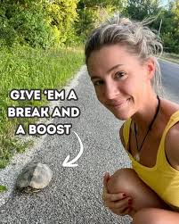 Be careful of turtles