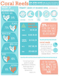 Coral Reef Infographic On Behance Marine Biology Coral Bleaching Coral Reef