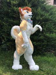 I just got a fursuit!! Meet Huey the Shiba Inu! : r/furry