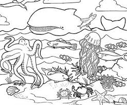 Maybe you would like to learn more about one of these? Whale Octopus And Other Animals Play On The Ocean Floor Coloring Pages Nature Seasons Coloring Pages Coloring Pages For Kids And Adults