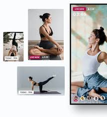 We did not find results for: Insight Timer Yoga Insight Timer