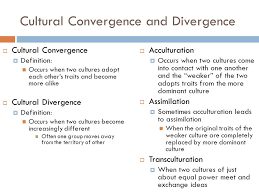Culture Patterns And Processes Ppt Video Online Download