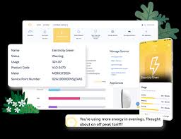 Energy And Utilities Cloud Salesforce Com