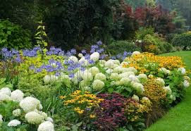 Deer resistant plants is a very common topic in wisconsin, especially in fall. 20 Deer Resistant Perennial Plants Flowers For Your Garden