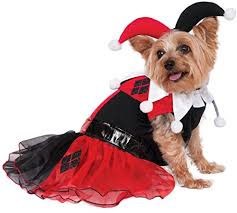 Where To Find Jester Dog Costume Atoya Reviews