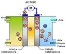 FUELL CELL - Materiali Ceramici