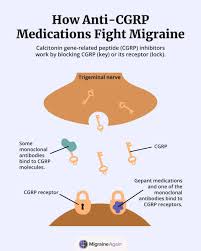 Image result for Gepant