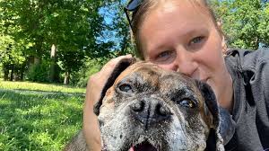 Fundraiser by Michelle Bennett : Support Mojo's Emergency Surgery Fund