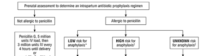 Image result for Group B Streptococcus Prophylaxis