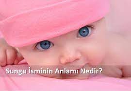 Menderes süngü is on facebook. Sungu Isminin Anlami Nedir Sungu Manasi Ne Demek Sungu Kuranda Geciyormu