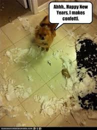 Ahhh Happy New Years Funny Animal Pictures Happy New Year Dog Funny Animals With Captions