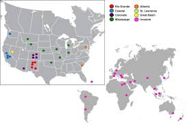 Ada perusahaan yang sedang membuka kesempatan lowongan kerja pt endo indonesia apoteker, klinik, apoteker, staf administrasi, perawat gigi dan banyak lagi melalui indeed.com. Phylogeography And Genetics Of The Globally Invasive Snail Physa Acuta Draparnaud 1805 And Its Potential To Serve As An Intermediate Host To Larval Digenetic Trematodes Abstract Europe Pmc