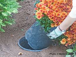 9 Clever Ways To Reuse Plastic Gardening Pots Plastic Nursery Pots Plastic Planters Plastic Flower Pots