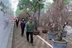 E chọn giờ để xông đất đấy cụ chúc cụ năm mới được như ý nhé. Oye7spkguxvdem