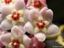 Pin On Beautiful Things